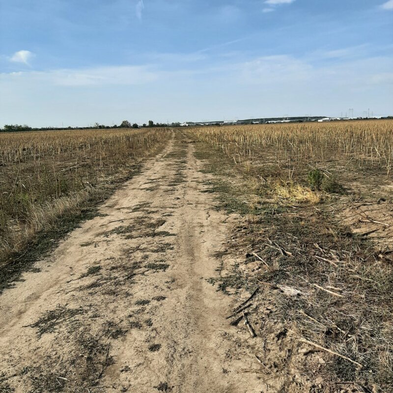 Ilfov Teren, zona industriala, in Domnesti. Tarlaua 7,