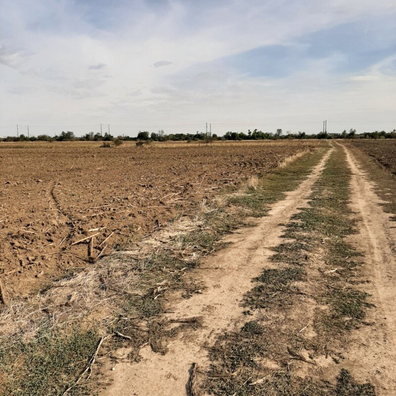 Ilfov Teren, zona industriala, in Domnesti. Tarlaua 7,