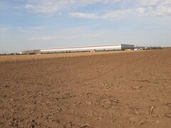 Ilfov Teren, zona industriala, in Domnesti. Tarlaua 7